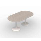 Conceptual Column Table 16590