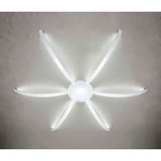 Casablanca Licht Surfin' Ceiling & Wall - Spider 6 Arms