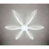 Casablanca Licht Surfin' Ceiling & Wall - Spider 6 Arms