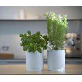 bulthaup Herb pot