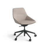 Brunner ray soft 9619