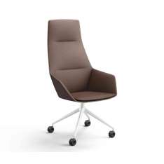Brunner ray soft 9619/A