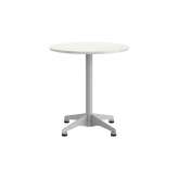 Brunner pivot 3058