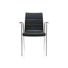 Brunner fina 6428/A