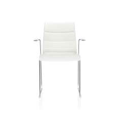 Brunner fina 6424/A
