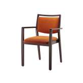 Brunner buena nova 336/AB