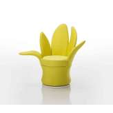 Brühl lemon-blossom