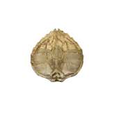 Bronzetto Fauna | Turtle wall light