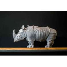 Bottonova Rhinoceros
