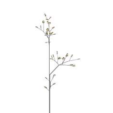 Bocci Series 16.40 Birch