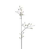 Bocci Series 16.40 Birch