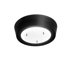 Blond Belysning Cymbal ceiling