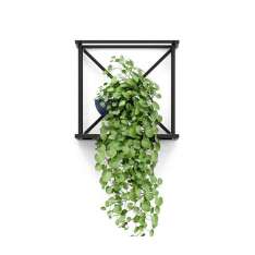 Bejot Saar | modules hang set1
