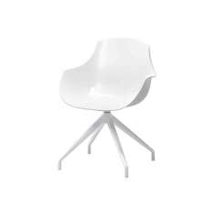 Assmann Büromöbel Triest Chair with 4-star base, plastic
