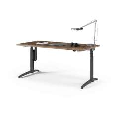 Assmann Büromöbel Canvaro Compact Electric height-adjustable Desk