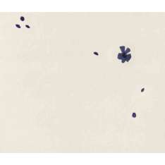 Asplund Fleur Bluebell Rug