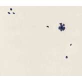 Asplund Fleur Bluebell Rug