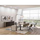 ALEA Ortho desk