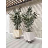 ALEA Jungla single planter