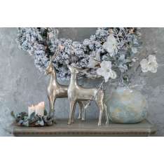 Wieniec Ośnieżony 40 cm