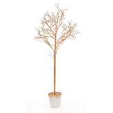 Drzewko w Doniczce 157 cm