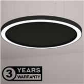 Ringo Star Ultra Acoustic