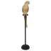 KARE dekoracja stojąca PARROT 116 cm złota