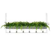 MOOSEE lampa wisząca / kwietnik SEMIRA 180 INDUSTRIAL biała