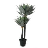 KARE roślina dekoracyjna AGAVE 120 cm