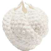 KARE wazon dekoracyjny ANEMONE 26 cm biały