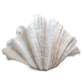 KARE wazon dekoracyjny CONCHA 57 cm