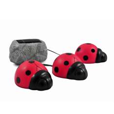 Zestaw lamp Solarnych Sl812981 Biedronki Duze 3Szt. 206503