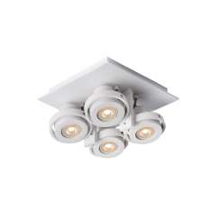 Lampa sufitowa Luc Landa II led 4 x 5 W (49000 | 05 | 31 Incl) 17906 | 20 | 31