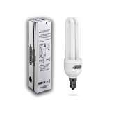 Świetlówka energooszczędna 2U11W E14 2700K